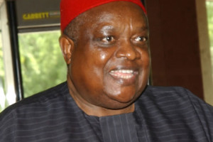 Chief Emmanuel Iwuanyanwu