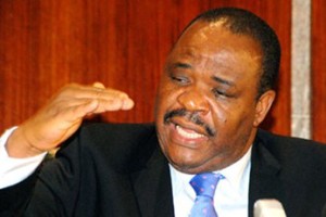 Minister of Work, Mike Onolememen