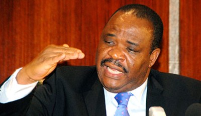 Minister of Work, Mike Onolememen