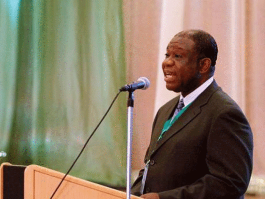Minister of Power, Professor Chinedu Nebo