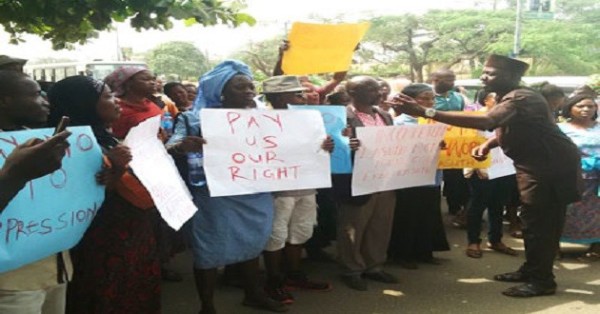 Midwives at senate