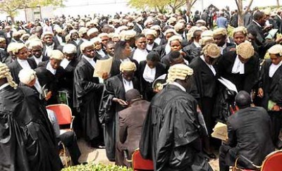 Lawyers