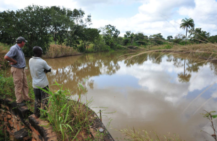 How 4 World Bank Officials Drowned In Ekiti River