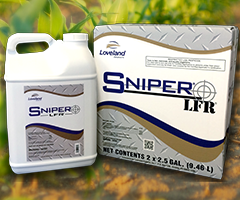 snippers