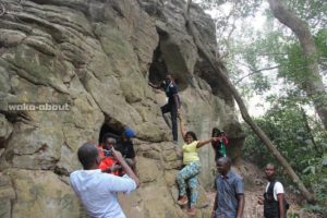 yankari-game-reserve