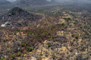 sambisa-forest-aerial-view