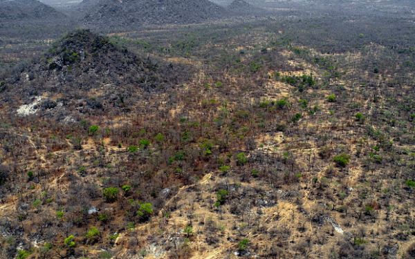 How We Conquered Sambisa Forest, Soldier Narrates