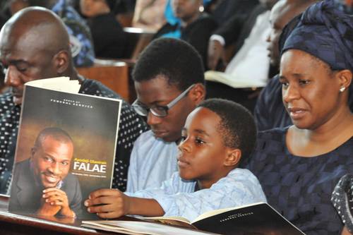 Falae’s family Sues Associated Aviation, Demands N219 Million Over Air Crash