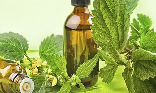 Of Herbal Healing, Spirituality And Public Health, By Reuben Abati