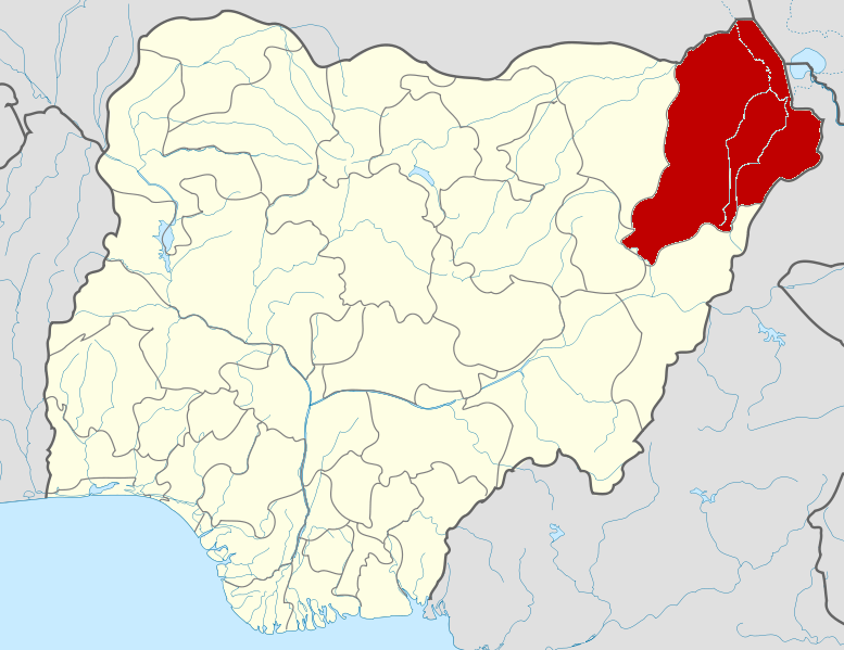 4 Female Suicide Bombers Miss Targets, Kill Selves In Maiduguri