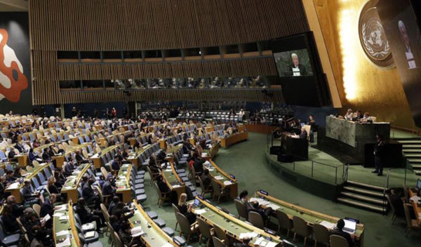 United Nation General Assembly