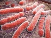 WHO Rates Nigeria Second Highest In Tuberculosis Case In Africa