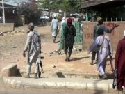 Boko Haram Insurgents Turn Into Armed Robbers In Borno, Steal 200 Cows, 300 Goats