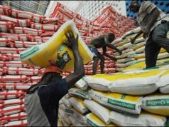 Nigerian Farmers Cry Out Over Illegal Importation of 500 Metric Tons Of Rice Seeds