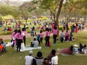 How To Tackle Insecurity In Nigeria’s National Parks – NPS Boss