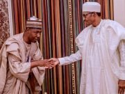 Borno State Will Soon Be Freed Of Boko Haram – Governor Zulum