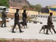 Security: Police Deploy Trained Dogs To Railway Stations In Nigeria