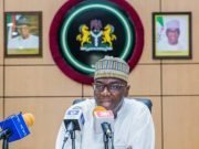 Nigerian Govs Support New Tax Reform Bills, But Want Essential Goods Exempted From VAT