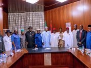 Buhari Queries Slow Pace Of Development In Niger Delta, Orders Probe