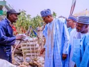 Nigeria Is Now Global player In Agriculture, Minister Shehuri Claims