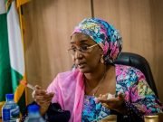 Remember Us In Distribution Of Palliative In Abuja, Hausa/Fulani Group Pleads