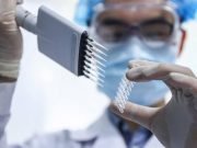 Italy Develops Vaccine For Novel Coronavirus, Human Trial Soon