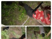 Hunters Kill 3 Suspected Kidnappers On Okene-Lokoja Road