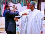 I’m Proud To Be A Nigerian – AfDB President, Adesina