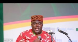 Collapse Of Kainji Dam May Be The Biggest Disaster In Africa – Presidency