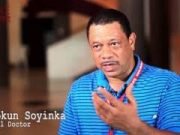 Herdsmen Did Not Attack My Father’s Farm; It’s Fake News – Soyika’s Son