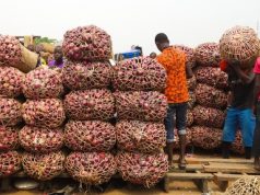 2021 Harvest Season: Farmers In Northwest Sing Different Songs