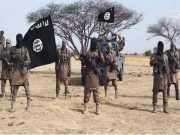 Soldiers Capture ISWAP Commander, Killed Many In Attempt To Free Leaders In Niger