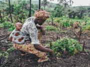 Imperatives Of International Day Of Rural Women, Girls, By Hadiza Mohammed-Aliyu