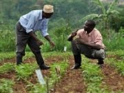 Agric Minister Laments Decline In Extension System For Years, Begins Training