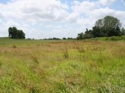 Lagos Acquires 750 Hectares Of Farmland For Feedlots