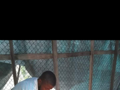 Poultry Farmer Wins Princewell Trust Entrepreneurship Prize