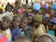 Insecurity, COVID19 Send 12 Million Nigerians Into Hunger – FAO