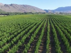 University Of Ilorin To Go Into Full Mechanize Farming, Vice Chancellor Promises