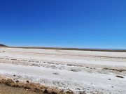 Over 833 Million Hectares Of Soil Affected By Salt Worldwide, Threatening Food Production – FAO