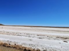 Over 833 Million Hectares Of Soil Affected By Salt Worldwide, Threatening Food Production – FAO