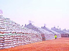 Buhari Unveils CBN’s Massive Rice Pyramid In Abuja, January 18