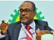 Don’t Make Law To Gag Social Media, Nigerian Content Development Boss Cautions