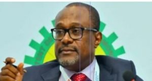 Don’t Make Law To Gag Social Media, Nigerian Content Development Boss Cautions