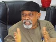 Federal Govt Moves To Protect Nigerians Working In Other Countries From Discrimination, Slavery