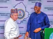 I Saw Hope On The Faces Of Borno People In Spite Of Terrorism – UN Scribe