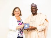 Prof. Gambari Engages US Under Secretary In Aso Rock