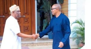 2023: Peter Obi, Gov Wike, Gov Bala Ganging-Up In LP?