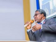 Nigeria’s Minister Says In Canada: Nigeria Has 44 Minerals In Commercial Quantity