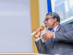 Nigeria’s Minister Says In Canada: Nigeria Has 44 Minerals In Commercial Quantity