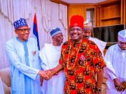 Our Final Gallop Home, By Femi Adesina